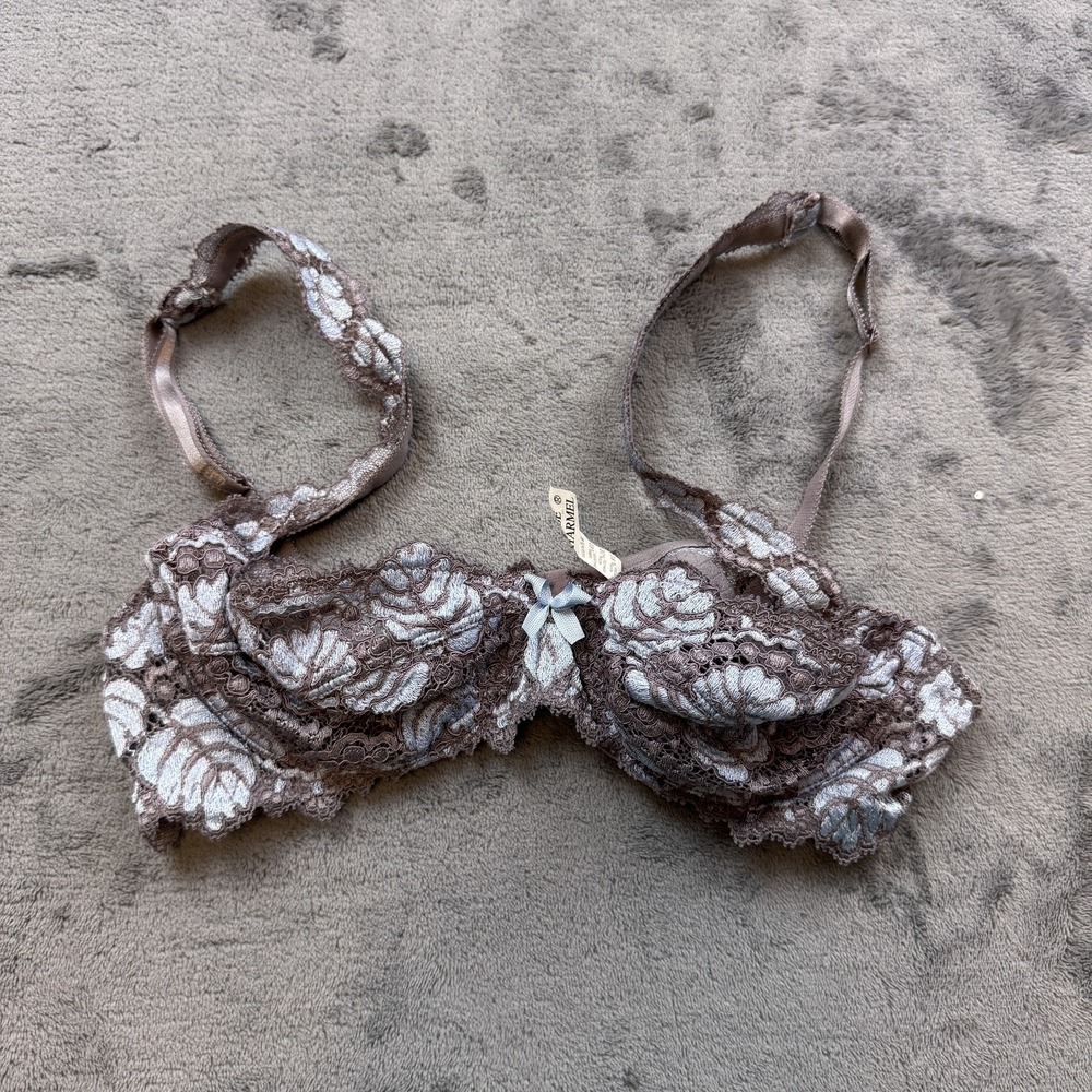 Lise Charmel Bra Womens 34C Brown Blue Lace Embroidered Floral France Sheer Sexy